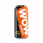  WOW ENERGY  L-     500 